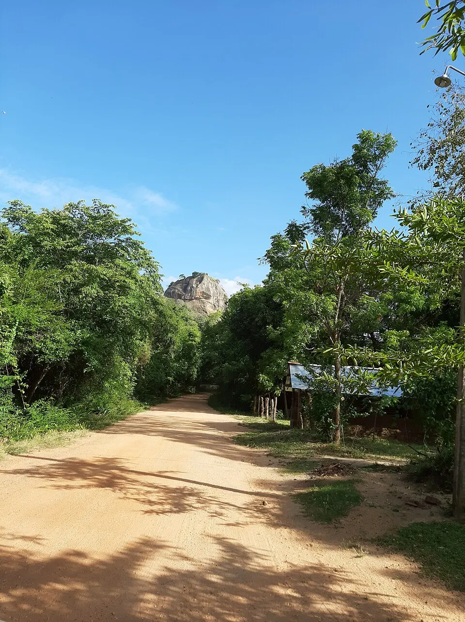 Sigiriya rock rising above green forest in Sri Lanka